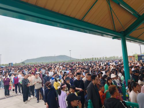 2025揚州世博園國際稻草藝術節盛大啟幕，人氣爆棚！